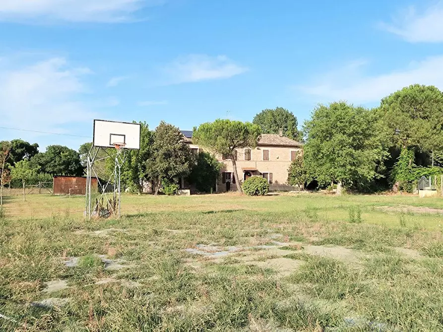 Immagine 38 di Villa in vendita  in Ponte della Vecchia a Ravenna