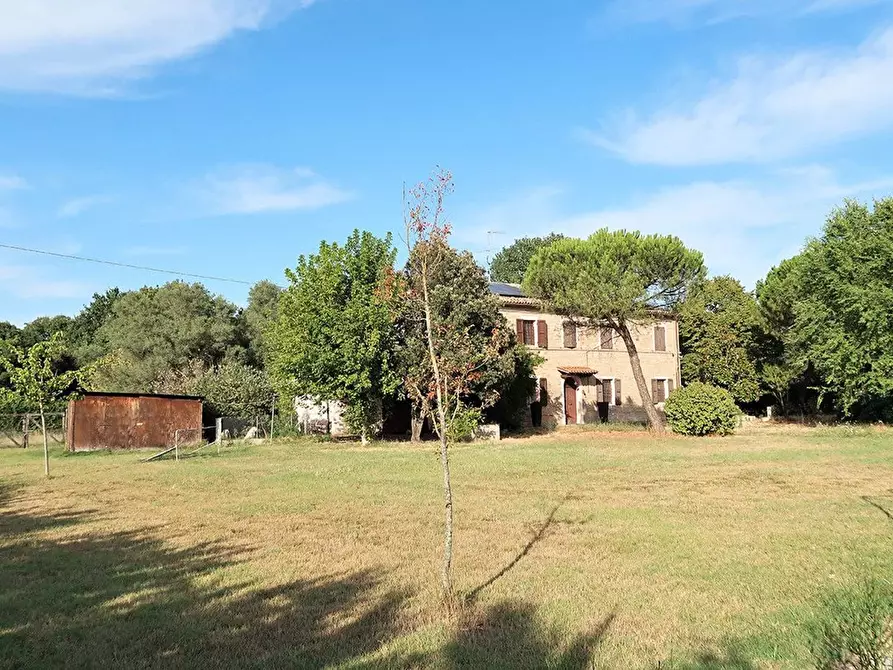 Immagine 40 di Villa in vendita  in Ponte della Vecchia a Ravenna