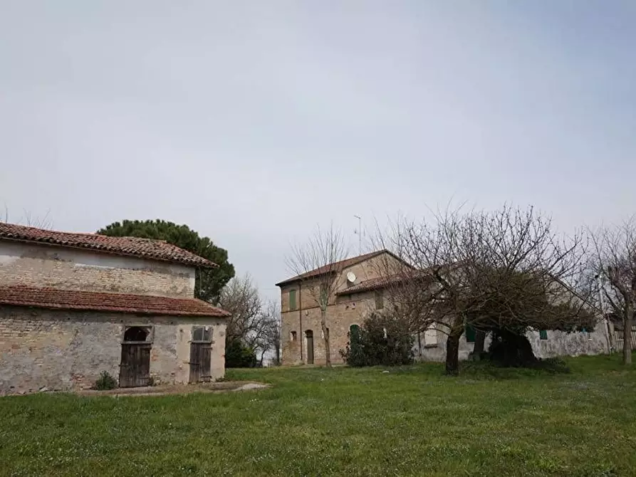 Immagine 5 di Rustico / casale in vendita  in Lunetta a Ravenna