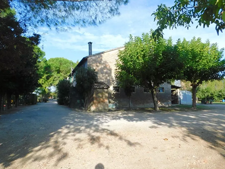 Immagine 20 di Casa semindipendente in vendita  in Matelica 96 a Cervia