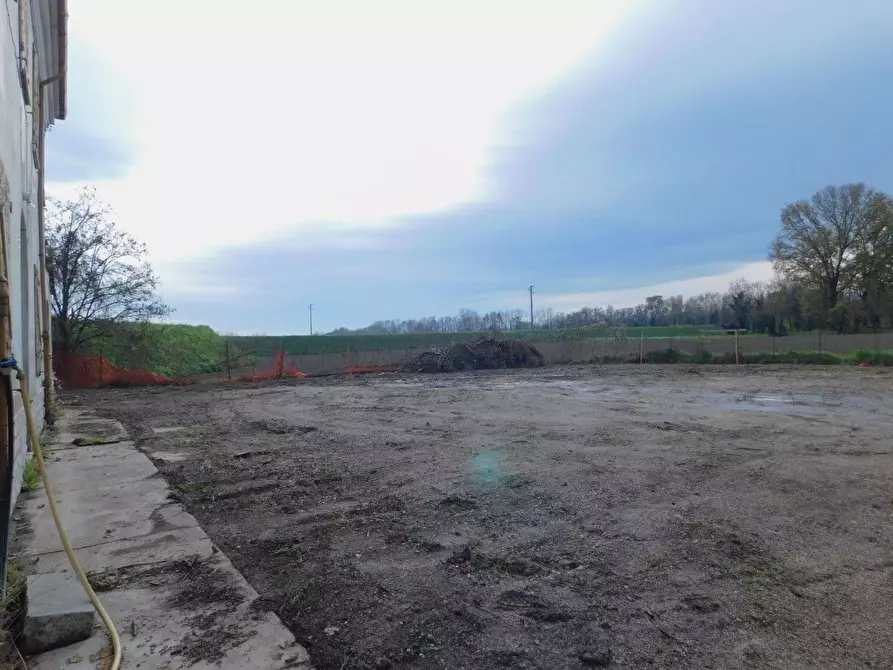 Immagine 6 di Rustico / casale in vendita  in Bagnolo-Salara a Ravenna