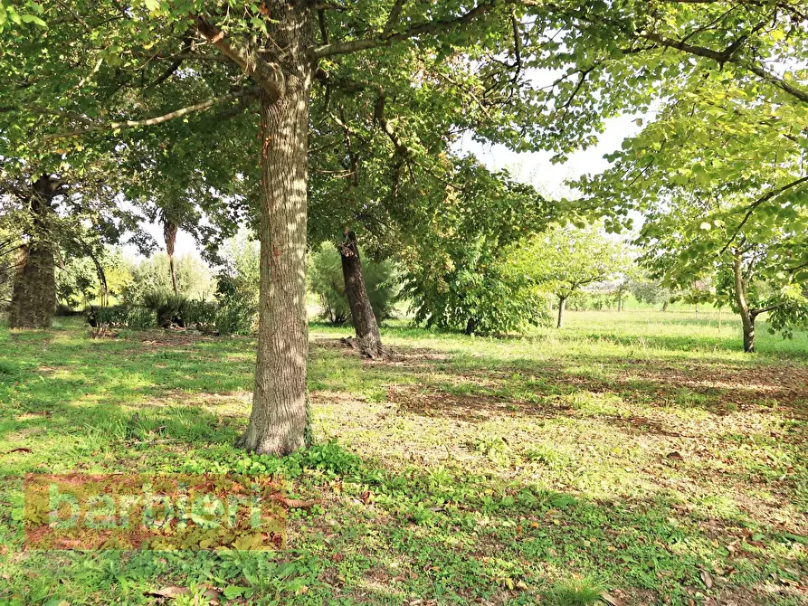 Immagine 15 di Rustico / casale in vendita  in via cella 586 a Ravenna
