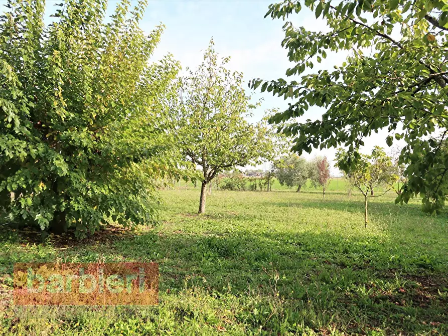 Immagine 14 di Rustico / casale in vendita  in via cella 586 a Ravenna