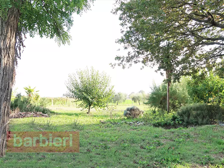 Immagine 13 di Rustico / casale in vendita  in via cella 586 a Ravenna