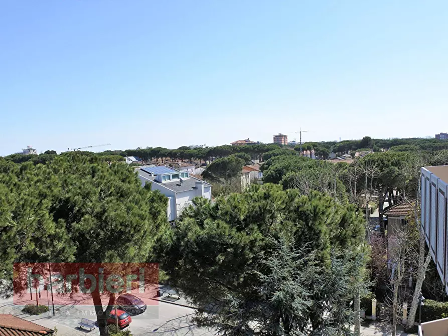 Immagine 3 di Appartamento in affitto  in viale dei mlle 33 a Cervia