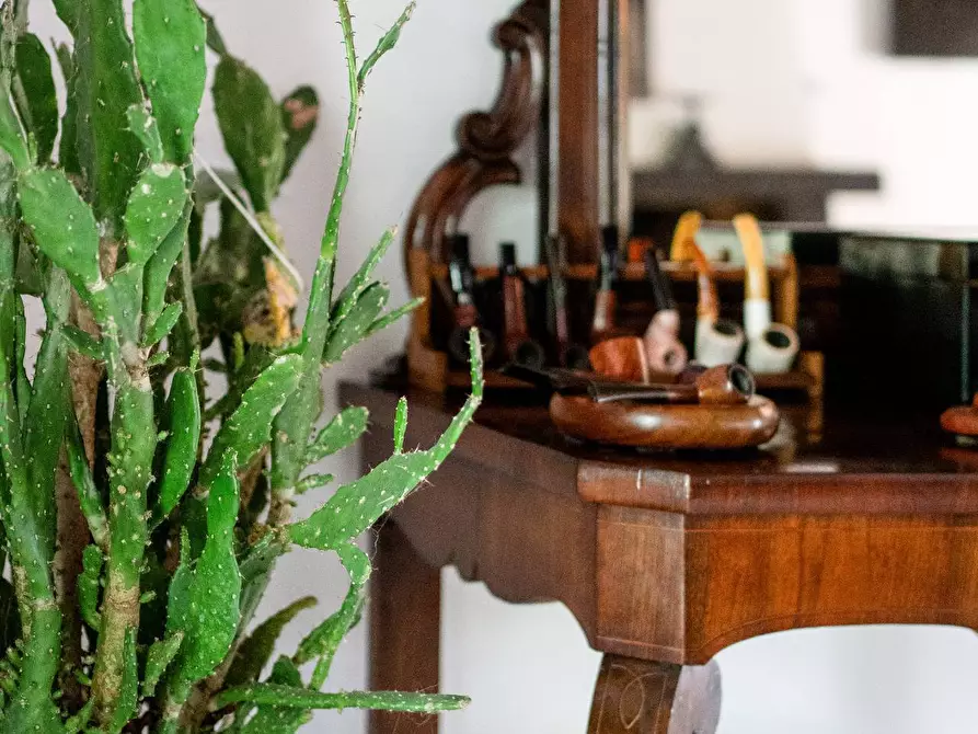 Immagine 33 di Villa in vendita  in Via Faentina 138 a Ravenna