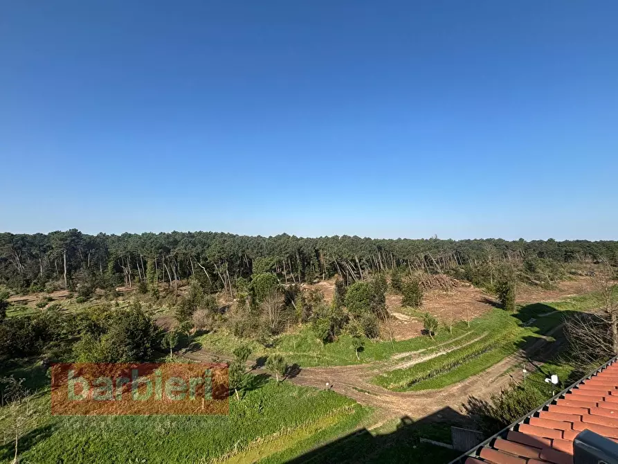 Immagine 18 di Appartamento in vendita  in traversa vii pineta 2 a Cervia