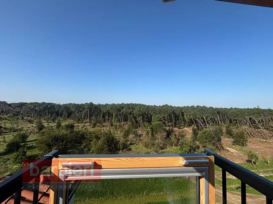 Immagine 17 di Appartamento in vendita  in traversa vii pineta 2 a Cervia