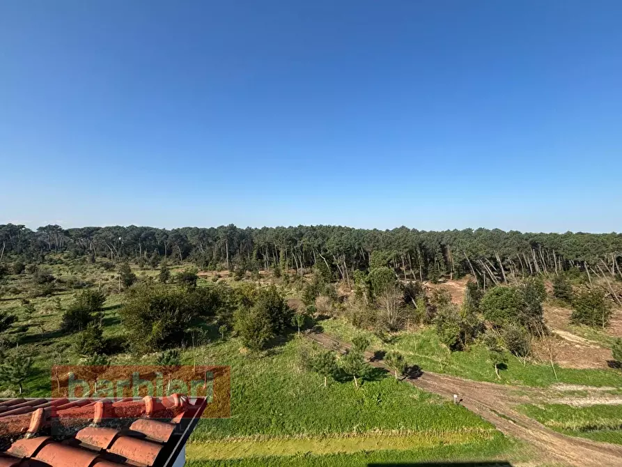 Immagine 16 di Appartamento in vendita  in traversa vii pineta 2 a Cervia