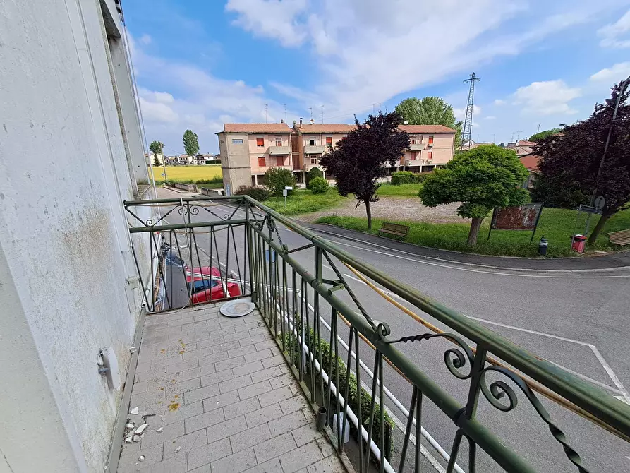 Immagine 20 di Villa in vendita  in Via Quartiere a Portomaggiore