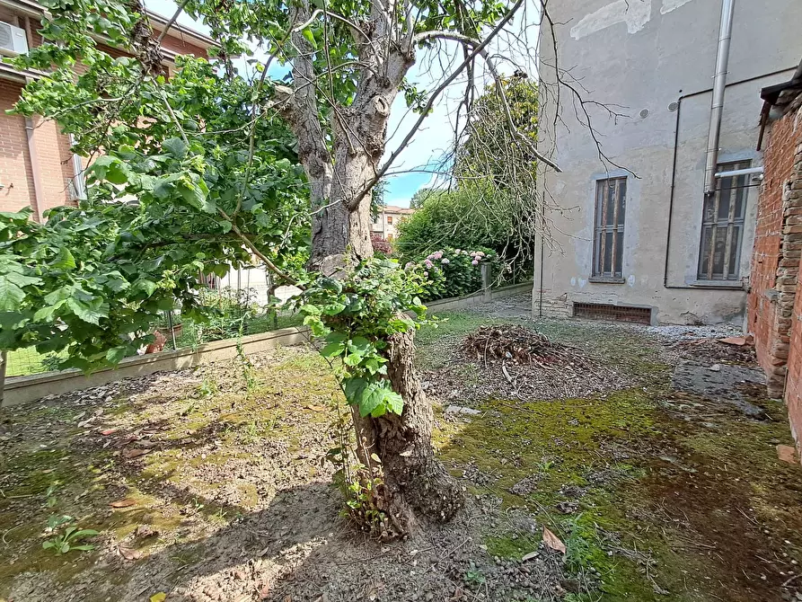 Immagine 33 di Villa in vendita  in Via Quartiere a Portomaggiore