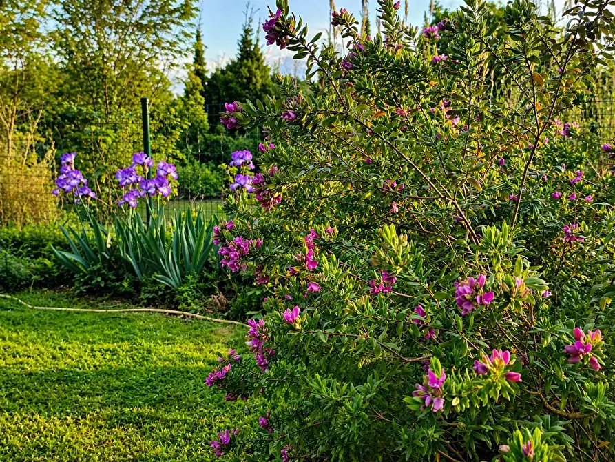 Immagine 20 di Appartamento in vendita  in Via Ravenna a Ferrara