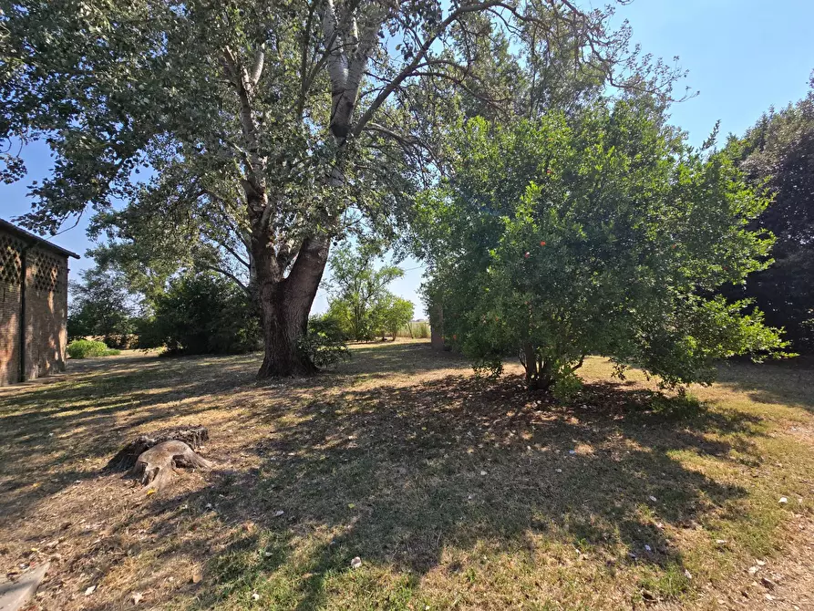 Immagine 30 di Villa in vendita  in Via Ro a Ferrara