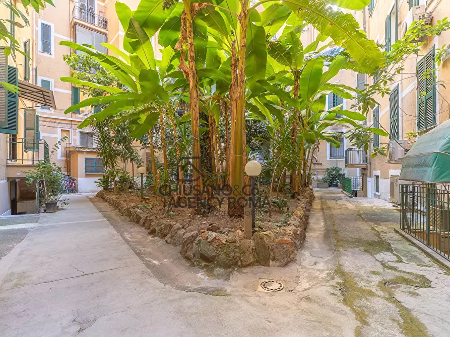 Immagine 28 di Appartamento in affitto  in Piazza Dei Re Di Roma 3 a Roma