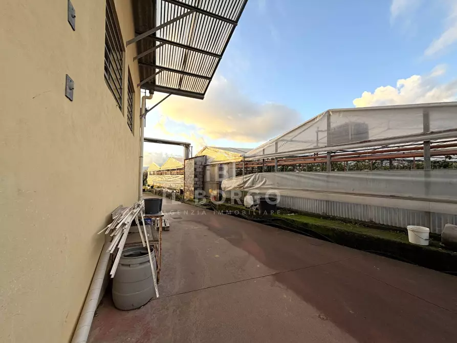 Immagine 6 di Capannone industriale in vendita  in Via giovanni amendola a Marliana