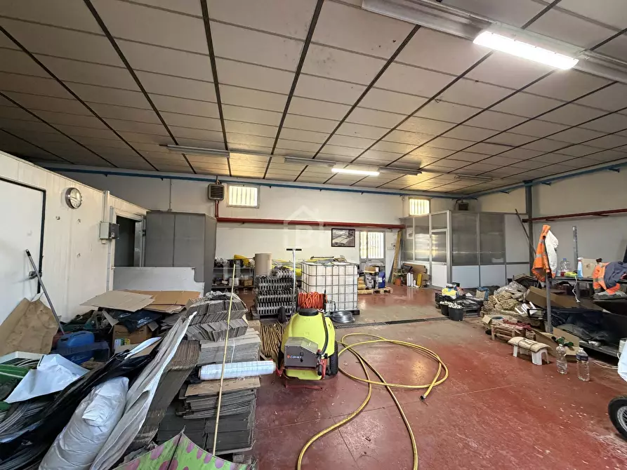 Immagine 5 di Capannone industriale in vendita  in Via giovanni amendola a Marliana