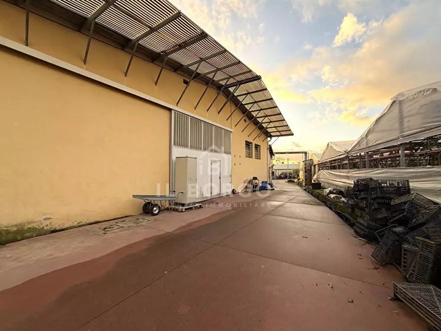Immagine 11 di Capannone industriale in vendita  in Via giovanni amendola a Marliana