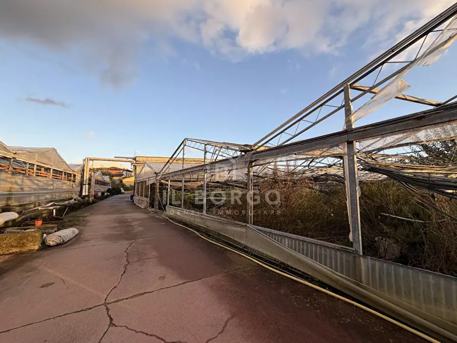 Immagine 12 di Capannone industriale in vendita  in Via giovanni amendola a Marliana