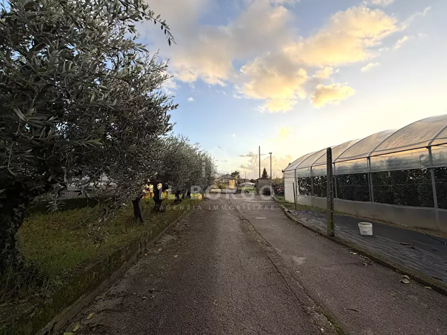 Immagine 13 di Capannone industriale in vendita  in Via giovanni amendola a Marliana