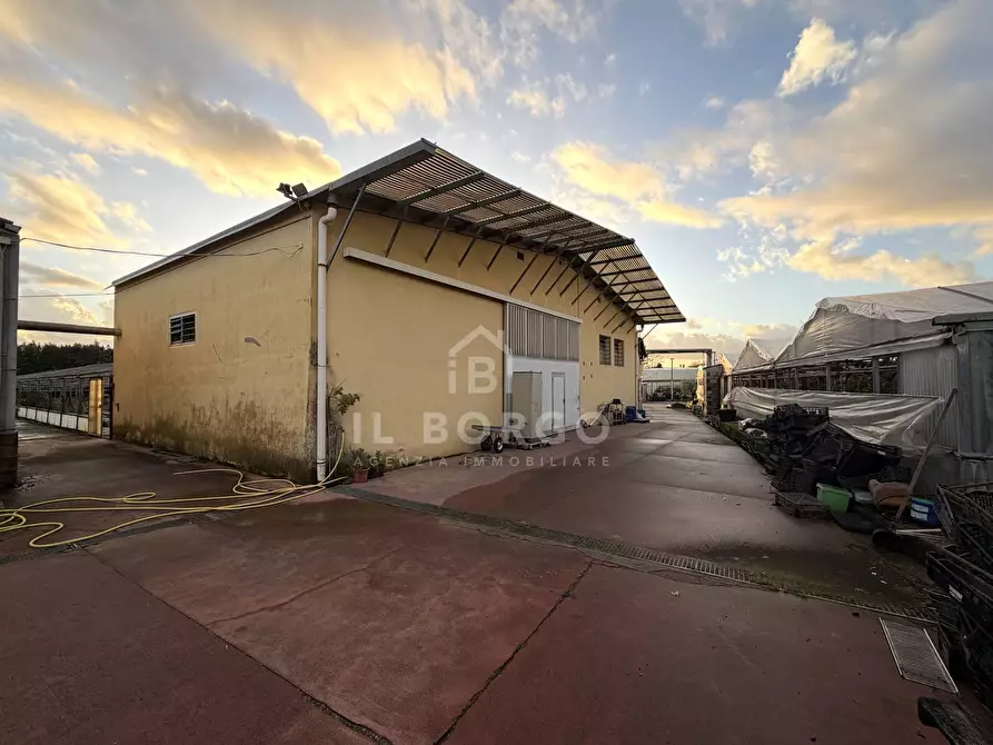 Immagine 1 di Capannone industriale in vendita  in Via giovanni amendola a Marliana