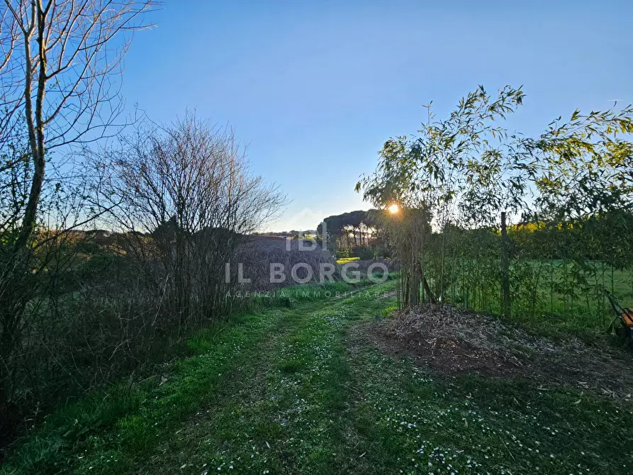 Immagine 6 di Casa indipendente in vendita  in Via Donatello a Marliana