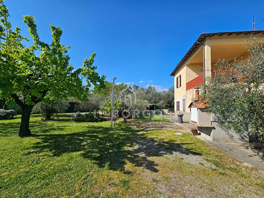 Immagine 10 di Casa indipendente in vendita  in via zei 3 a Pescia