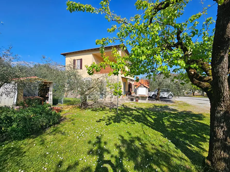 Immagine 5 di Casa indipendente in vendita  in via zei 3 a Pescia
