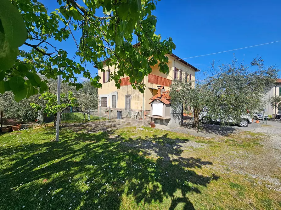 Immagine 11 di Casa indipendente in vendita  in via zei 3 a Pescia