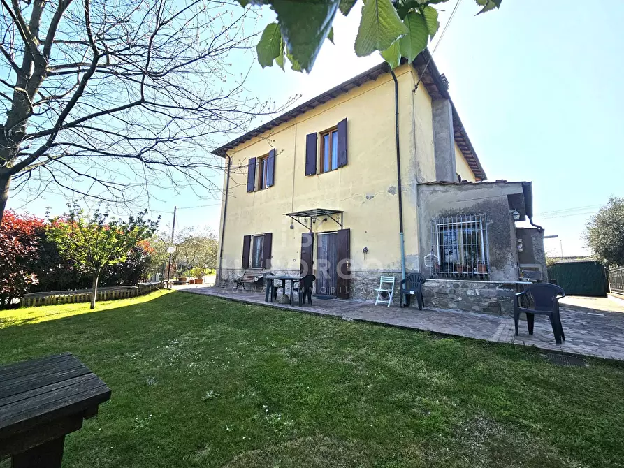 Immagine 15 di Casa indipendente in vendita  in via zei 3 a Pescia