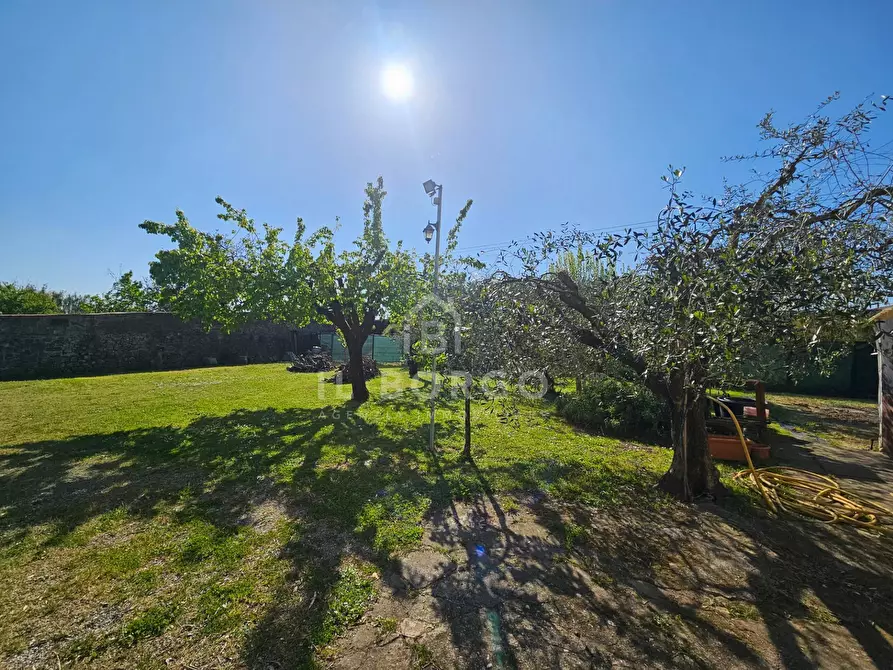 Immagine 19 di Casa indipendente in vendita  in via zei 3 a Pescia