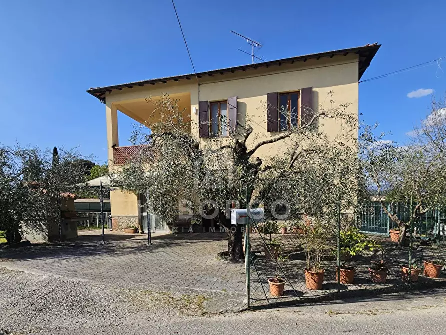 Immagine 21 di Casa indipendente in vendita  in via zei 3 a Pescia