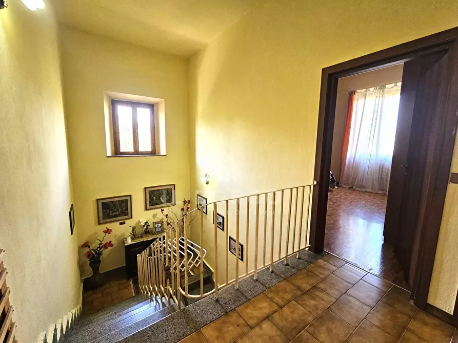 Immagine 39 di Casa indipendente in vendita  in via zei 3 a Pescia