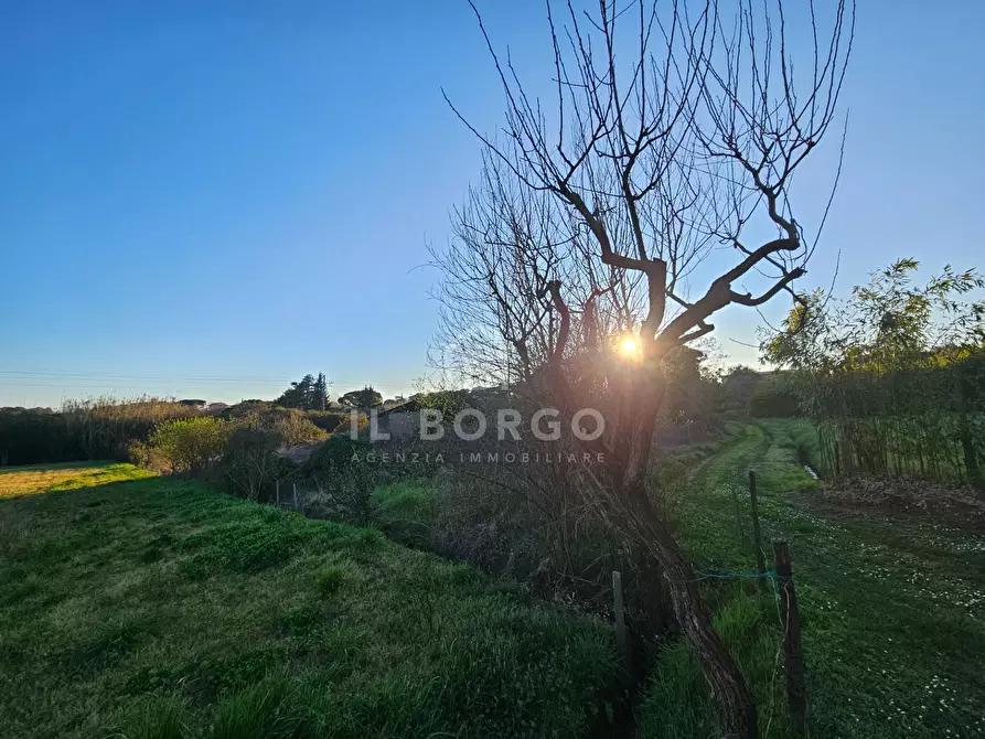 Immagine 6 di Terreno residenziale in vendita  in via donatello a Marliana