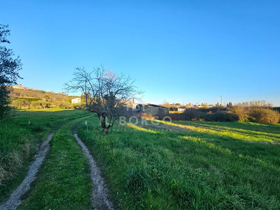 Immagine 10 di Terreno residenziale in vendita  in via donatello a Marliana