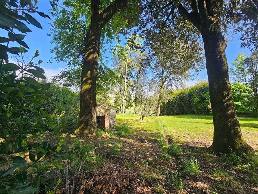 Immagine 30 di Villa in vendita  in Via Borgo a Buggiano 15/A a Buggiano