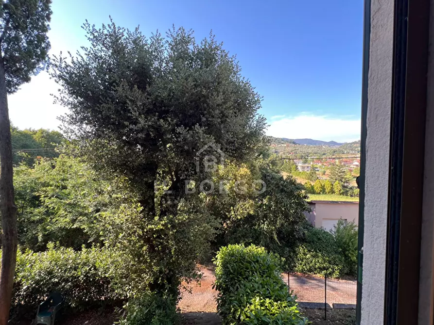 Immagine 5 di Appartamento in vendita  in Via Giuseppe Paganini 12 a Marliana