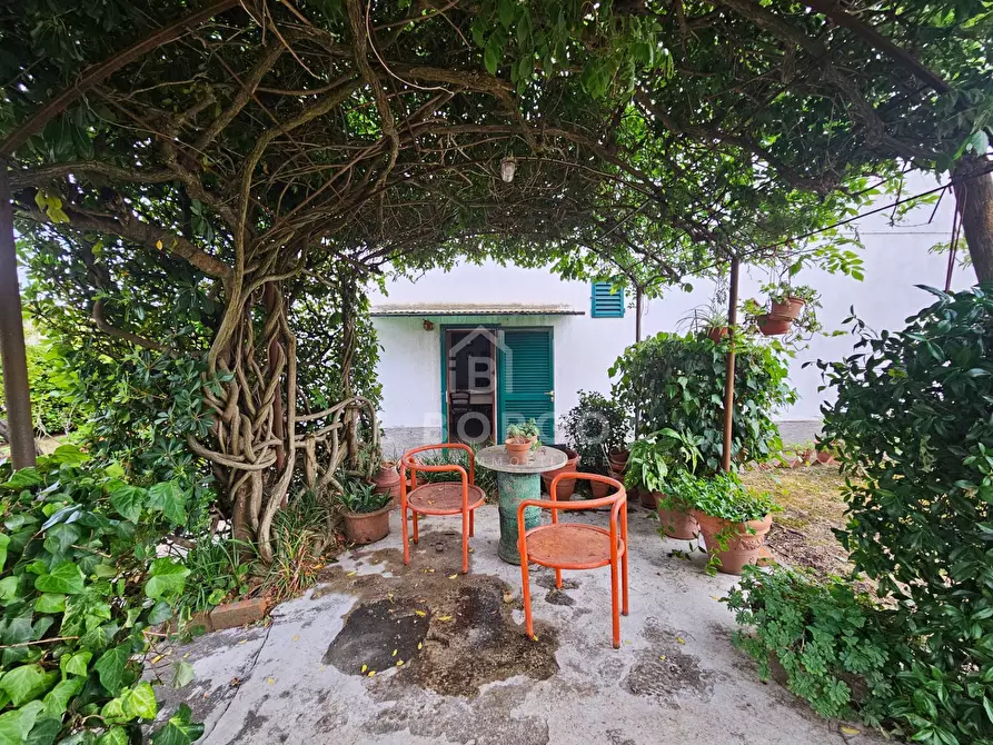 Immagine 28 di Villa in vendita  in Via Provinciale Lucchese 333 a Marliana