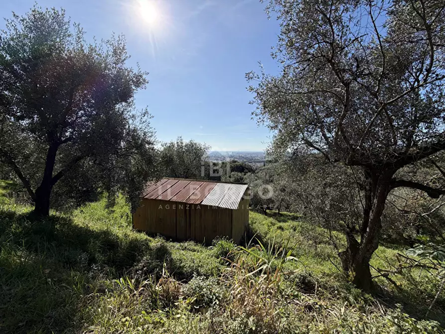 villa in vendita a Buggiano in zona Buggiano Castello