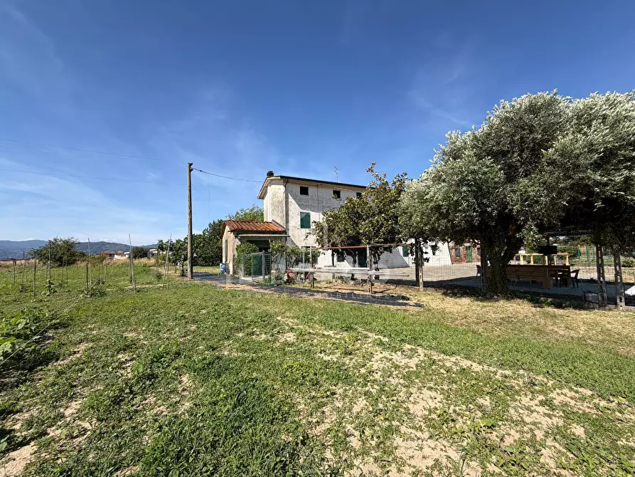 Immagine 3 di Casa indipendente in vendita  in Località Volpini 34 a Altopascio