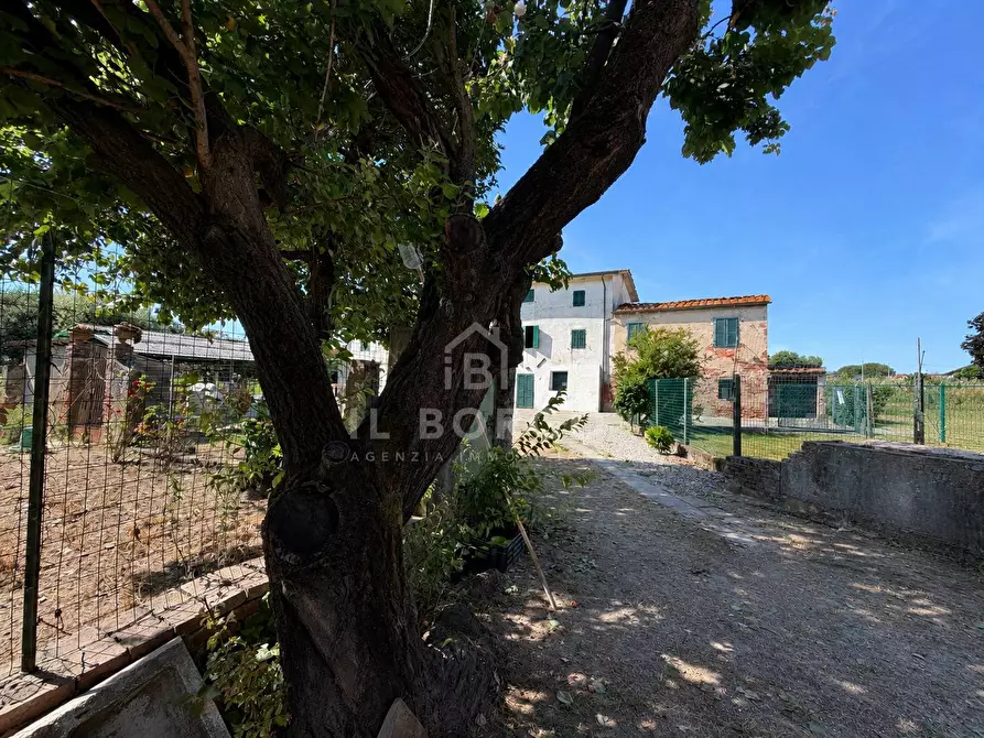 Immagine 31 di Casa indipendente in vendita  in Località Volpini 34 a Altopascio