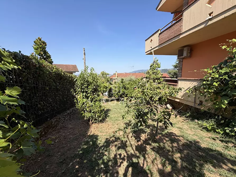 Immagine 16 di Casa indipendente in vendita  in Via dei Gobbi a Monsummano Terme