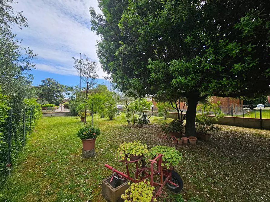 Immagine 3 di Appartamento in vendita  in Via Bellavista 55 a Buggiano