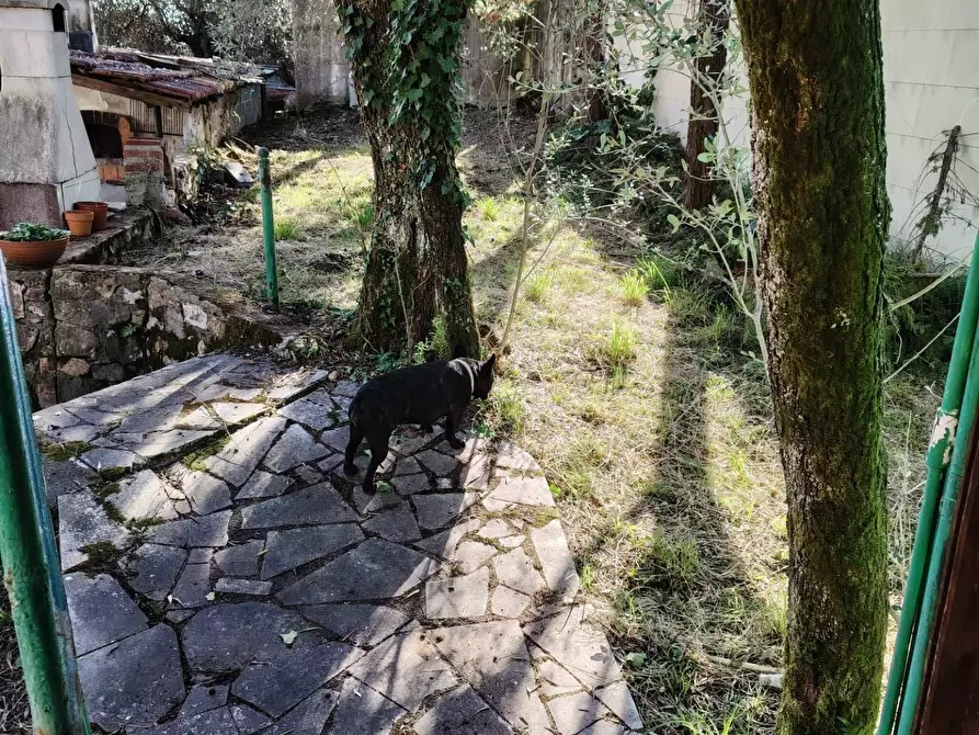 Immagine 59 di Casa semindipendente in vendita  in Via della Lizza 35 a La Spezia
