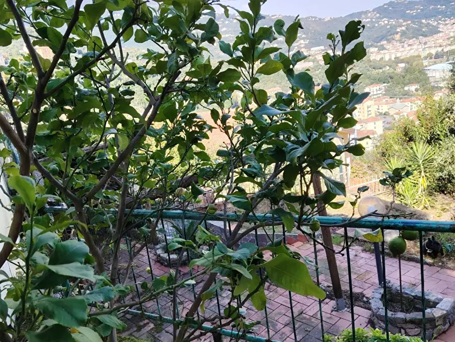 Immagine 66 di Casa semindipendente in vendita  in Via della Lizza 35 a La Spezia