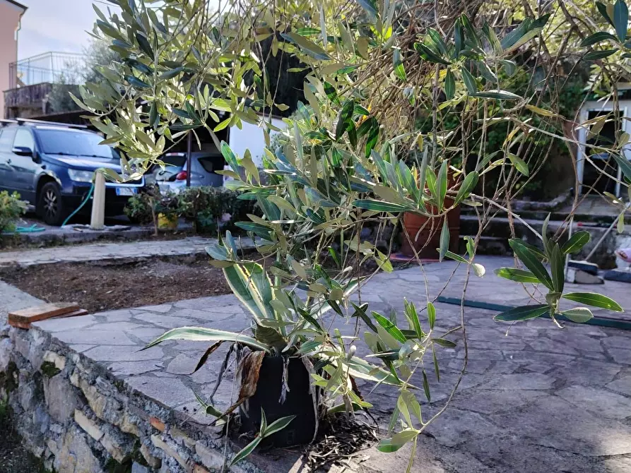 Immagine 73 di Casa semindipendente in vendita  in Via della Lizza 35 a La Spezia