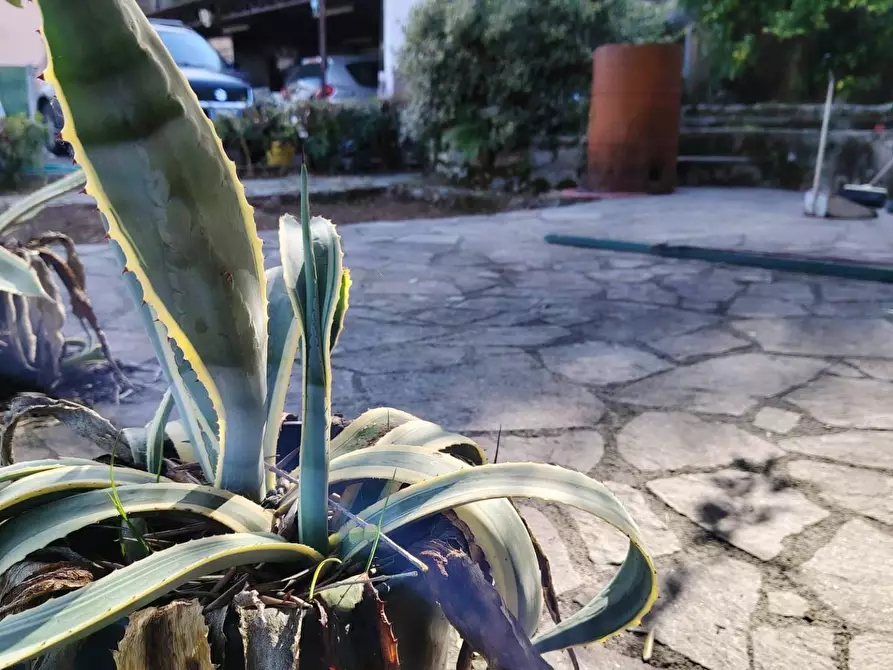 Immagine 75 di Casa semindipendente in vendita  in Via della Lizza 35 a La Spezia