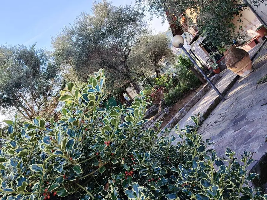 Immagine 76 di Casa semindipendente in vendita  in Via della Lizza 35 a La Spezia