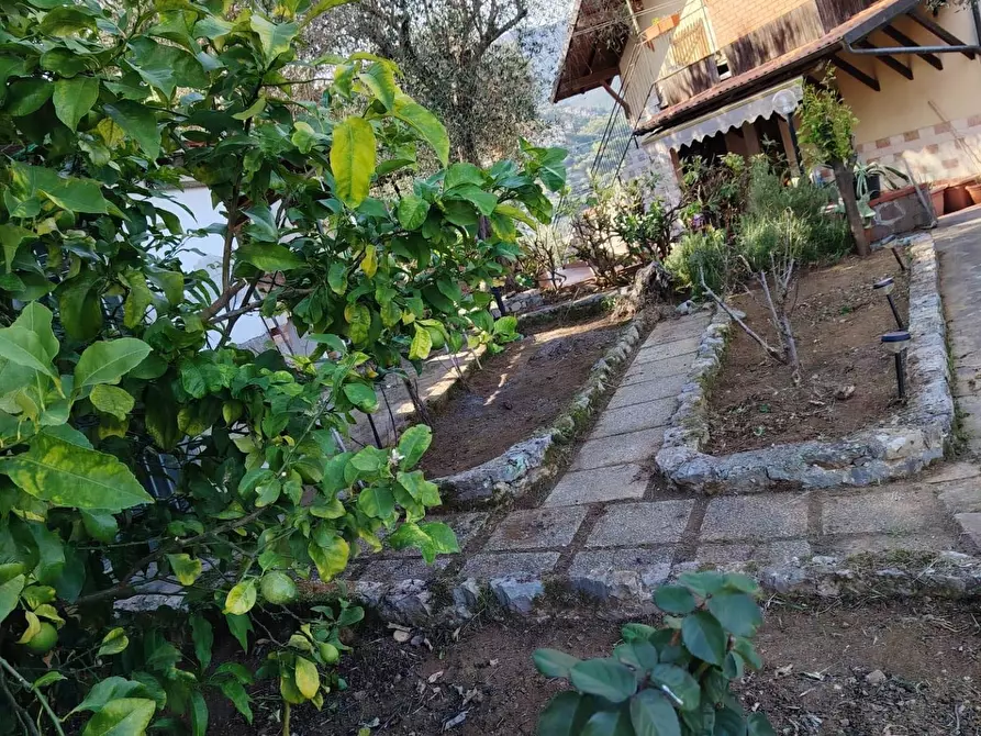 Immagine 77 di Casa semindipendente in vendita  in Via della Lizza 35 a La Spezia