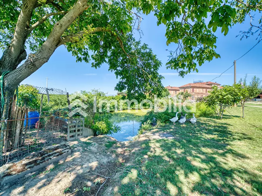 Immagine 72 di Rustico / casale in vendita  in Cascina Balme 18 a Poirino