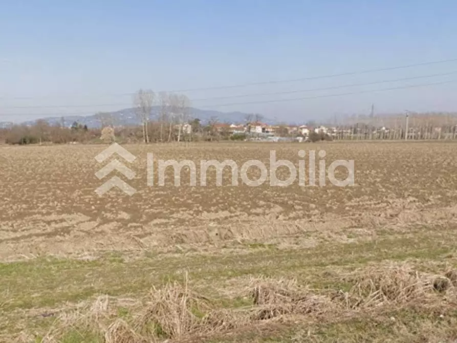 Immagine 3 di Terreno agricolo in vendita  in Frazione Orelle snc a Vinovo